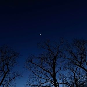 Meet your Posher, Lydia